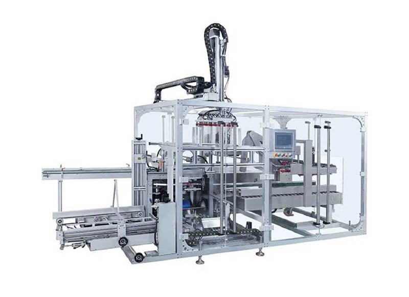 Pharmaceutical Case Packing Machine