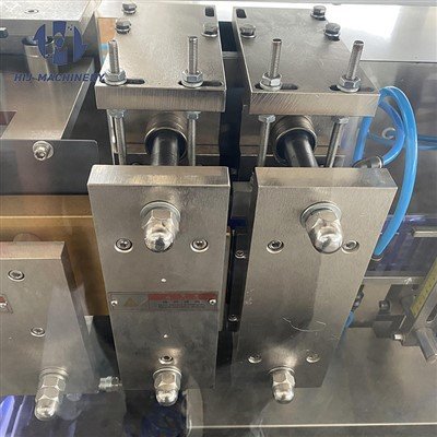 Oral Liquid Filling Station Detail